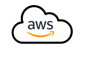 AWS Cloud